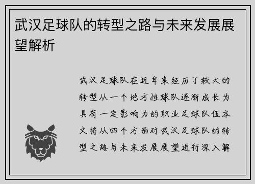 武汉足球队的转型之路与未来发展展望解析