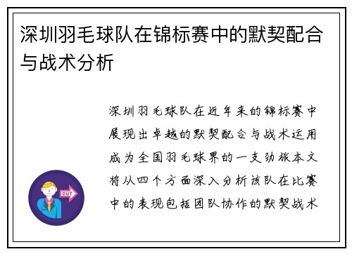 深圳羽毛球队在锦标赛中的默契配合与战术分析